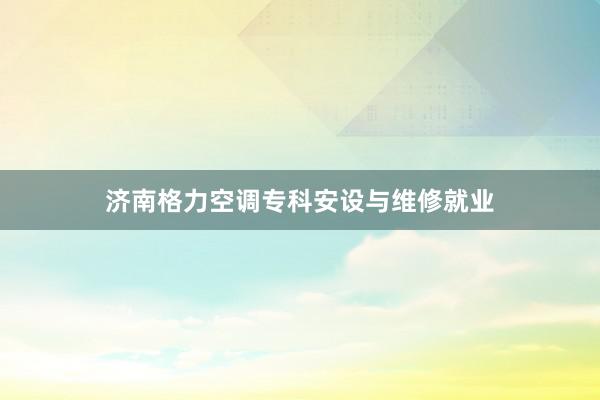 济南格力空调专科安设与维修就业